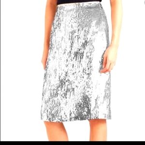 Jcrew Silver Sequin Skirt